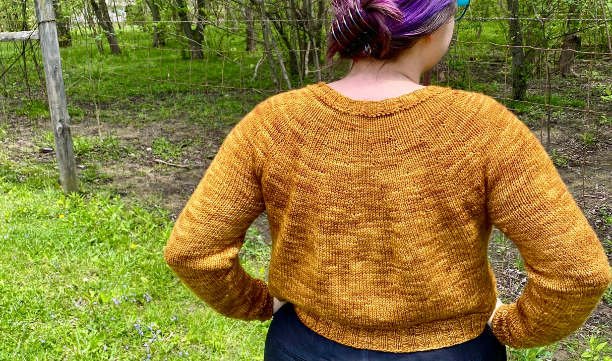 Payne by Helena Bristow