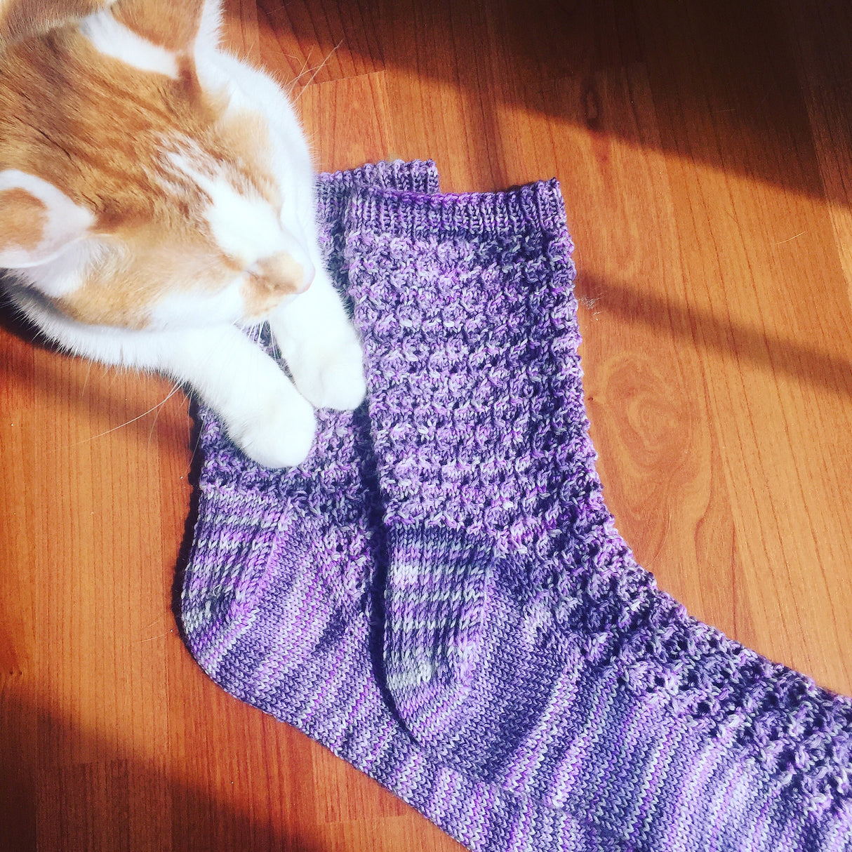 an orange and white cat gently rests two forepaws on a pair of lacy purple handknit socks sitting on a wooden floor.