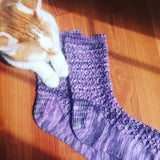an orange and white cat gently rests two forepaws on a pair of lacy purple handknit socks sitting on a wooden floor. 