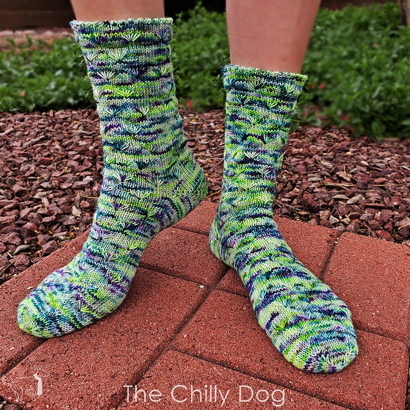 Caretaker Socks by The Chilly Dog