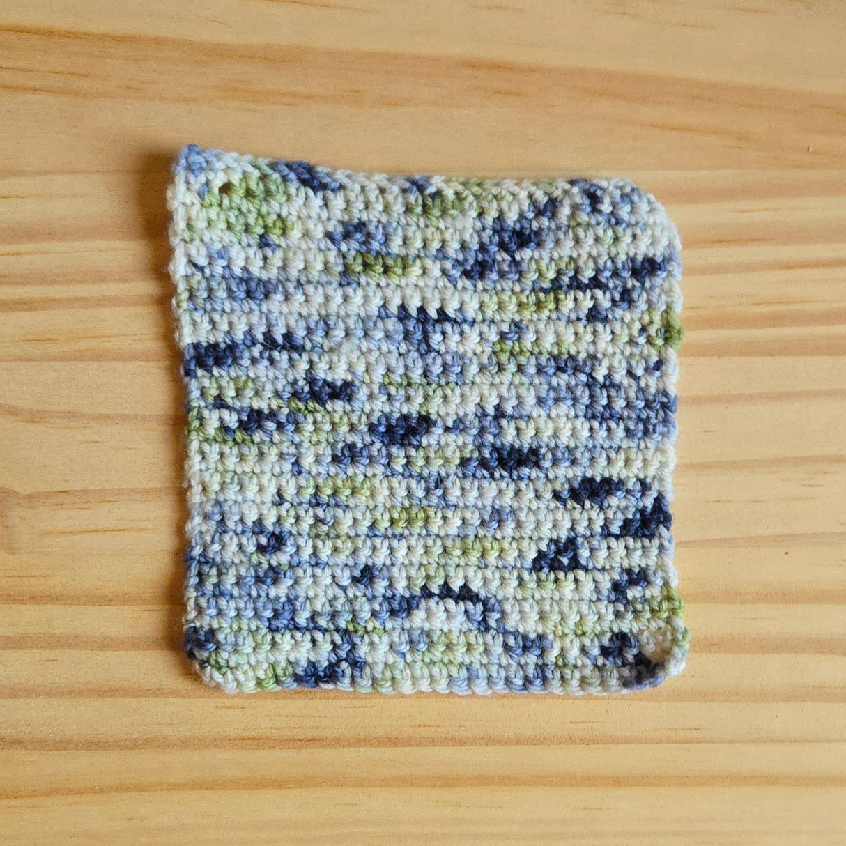 Coast in the Shell - Yarn