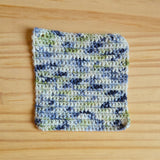 Coast in the Shell - Yarn