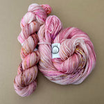 January 2024 Yarn of the Month: Hot to Trot