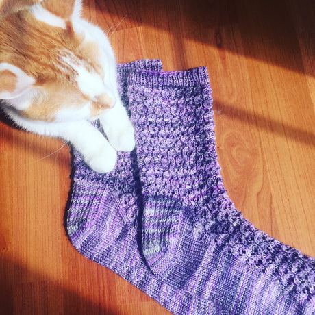 an orange and white cat gently rests two forepaws on a pair of lacy purple handknit socks sitting on a wooden floor. 